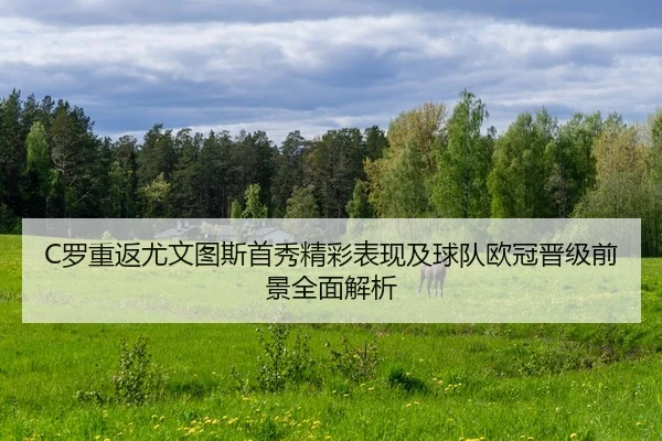 C罗重返尤文图斯首秀精彩表现及球队欧冠晋级前景全面解析 | MILAN